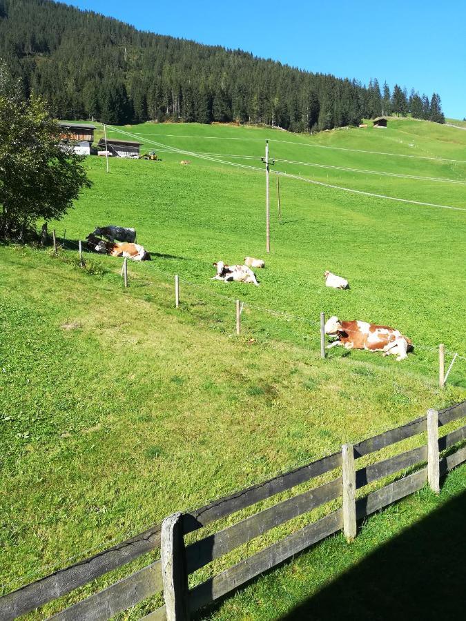 Apartamento Hacklstoana Alpbach Exterior foto